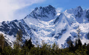 白雪覆蓋的山脈，前景有冰川和常綠樹 — 雪山 壁紙