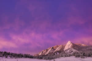 紫色和粉紅色暮色天空下的雪山。 — MacBook Pro 14 壁紙