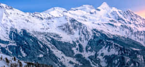 黃昏時分的雪山山脈，下方有松樹林 — 山脈 壁紙