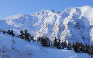 在清澈的藍天下，白雪覆蓋的山脈和常綠樹。 — 白雪公主 壁紙