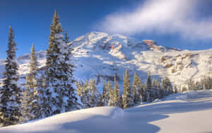 白雪覆蓋的山脈與常綠樹，在清澈的藍天下 — 冬季風景 壁紙