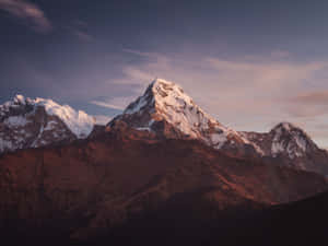 被金色日落光芒沐浴的雪山山脈，配以紫色天空 — 冬季風景 壁紙