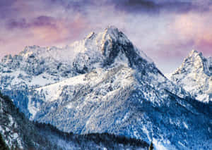 紫粉色暮色天空下的雪山山脈。 — 山景 壁紙
