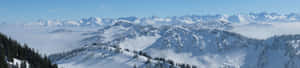 白雪覆蓋的山峰聳立於雲海之上，山坡上有常綠樹木。 — 雪景 GIF 壁紙