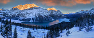 夕陽下的雪山與湖泊，常綠樹林 — 山脈 壁紙