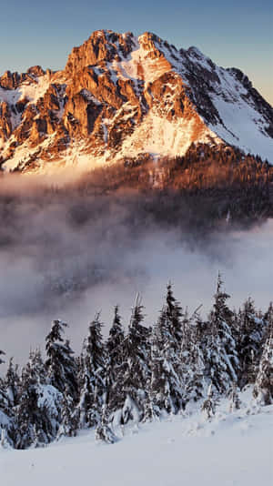 白雪覆蓋的山峰在日出光芒中閃耀，位於霧氣森林之上。 — 雪山 壁紙