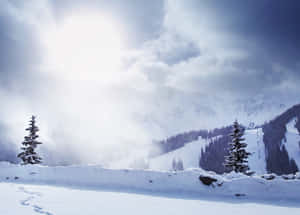 白雪覆蓋的山，常青樹，陽光穿透雲層。 — 雪山 壁紙