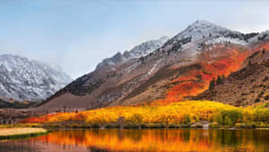 在平靜的湖面倒映的秋樹後方的雪山。 — MacBook Pro 美學 壁紙