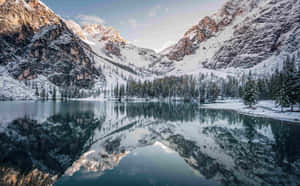 白雪覆蓋的山脈和常青樹倒映在晴朗天空下的平靜湖水中。 — 自然風景動圖 壁紙