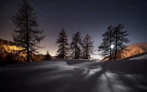 夜晚白雪覆蓋的山脈，星光和月光穿過樹木投下陰影。 — 冬季風景 壁紙