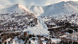 白雪覆蓋的山谷，有滑雪道和常綠樹林中的小屋。 — 白色美學動圖 壁紙