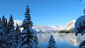 白雪覆蓋的松樹圍繞著冰凍湖泊，背景是山脈。 — 冬季風景 壁紙