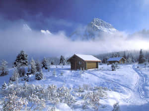 被常綠樹和霧峰環繞的雪中山間小屋，在清澈的藍天下。 — 冬季風景 壁紙
