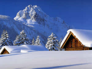 白雪覆蓋的山間小屋，四周環繞著常青樹，天空湛藍清澈。 — 冬季桌面 壁紙