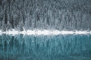 白雪覆蓋的松林倒映在寧靜的藍色湖泊中 — 魔法森林 壁紙