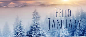 白雪松林、霧氣和山脈在日出時分，帶有hello january文字 — 新年 壁紙