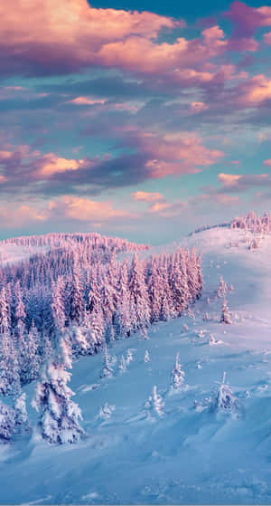 在粉紅與藍色的暮色天空下，白雪覆蓋的松樹。 — 雪景 GIF 壁紙