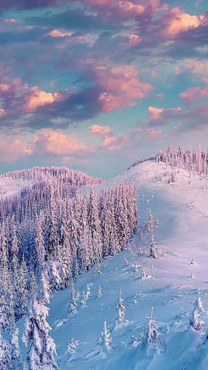 在粉紅色和藍色的日落天空下，白雪覆蓋的山景與松樹。 — 冬季風景 壁紙