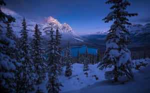 白雪覆蓋的松樹環繞著暮色中山谷中的一個藍色湖泊。 — 冬季風景 壁紙