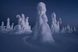 暮色天空下白雪覆蓋的冰凍樹木 — 我想你 壁紙