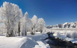 白雪覆蓋的河岸，結霜的樹木和遠處的山峰，在湛藍的天空下。 — 冬季美學 壁紙