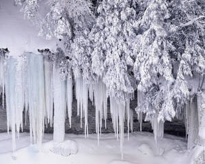 結冰的瀑布，冰柱從積雪的樹木上垂下，冬日森林。 — 冬季桌面 壁紙
