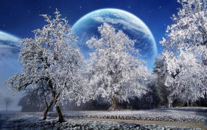 星空下霜凍的樹木，背景中有一顆巨大的藍色星球。 — 寒冷 壁紙
