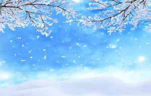 白雪覆蓋的樹枝框住了一片明亮的藍天，雪花飄落，陽光灑在雪丘上。 — 冬季美學 壁紙