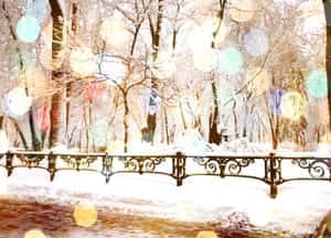 白雪覆蓋的公園場景，有光禿禿的樹木和裝飾性圍欄，在彩色散景燈光下。 — 冬季風景 壁紙