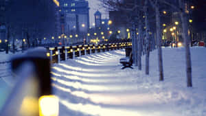 積雪的城市人行道，有發光的街燈和光禿禿的樹木，在暮色中。 — 冬季風景 壁紙