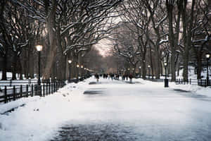 白雪覆蓋的公園小徑，光禿禿的樹木，以及人們在黃昏時分於點亮的路燈下行走。 — 冬季風景 壁紙