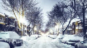 白雪覆蓋的街道，有停泊的汽車和光禿禿的樹木，在黃昏的街燈下。 — 暮光 壁紙