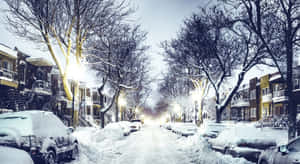 夜晚街燈下，停泊的汽車和光禿禿的樹木覆蓋著白雪的街道。 — 低調 壁紙