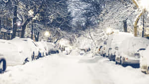 被雪覆蓋的汽車停泊在夜晚有明亮路燈的林蔭街道旁。 — 冬季風景 壁紙