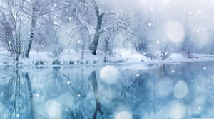 積雪的樹木倒映在飄雪下平靜的河流中。 — iMac 壁紙