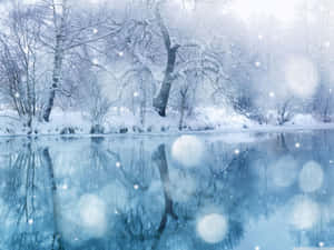 積雪的樹木在柔和的藍色冬日光線下倒映在冰凍的河流中。 — 冬季風景 壁紙