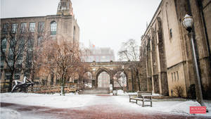 白雪覆蓋的大學庭院，有石建築和磚砌步道。 — 雪 壁紙