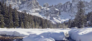 白雪覆蓋的山谷，有常青樹和清澈的藍天 — 冬季風景 壁紙