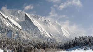 在晴朗藍天白雲下，白雪覆蓋的山脈和森林。 — 科羅拉多 壁紙