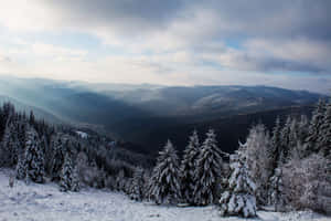 白雪覆蓋的松樹和遠山，在陰沉的天空下。 — 雲朵 GIF 壁紙