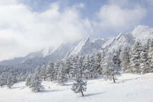 白雪覆蓋的松樹和岩石山脈在多雲的天空下。 — 酷寒冬季 壁紙