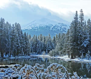 冬季白雪覆蓋的森林和湖泊，山脈倒影 — 酷寒冬季 壁紙