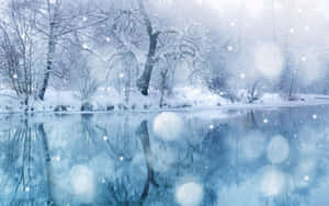 積雪的樹木在飄雪下倒映在結冰的湖面上。 — 冬季美學 壁紙
