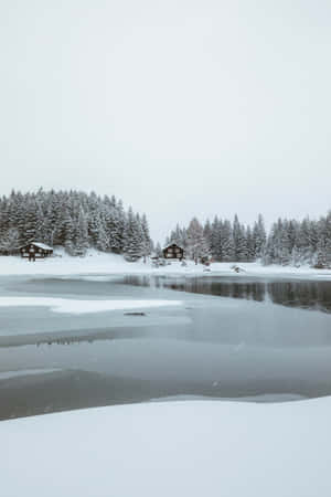 冬季結冰的湖面，積雪的小屋和常綠樹。 — 冬季風景 壁紙