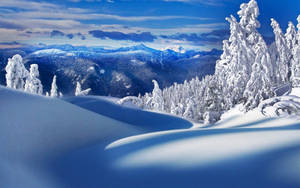 在明亮的藍天下，白雪覆蓋的山景，樹木結霜。 — 冬季風景 壁紙