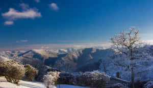 白雪覆蓋的山景，結霜的樹木和湛藍清澈的天空。 — 美麗的藍色 壁紙