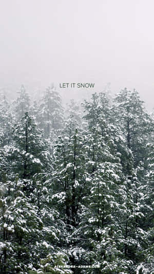 迷霧冬日森林中積雪的常綠樹，附有 let it snow 文字。 — 冬季風景 壁紙