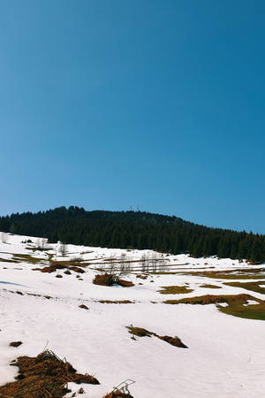 白雪覆蓋的山坡、樹木和清澈藍天 — 冬季風景 壁紙