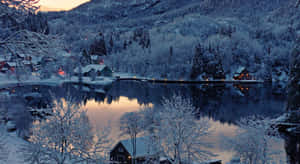 積雪的小屋和樹木在黃昏時倒映在平靜的湖面上。 — 冬季風景 壁紙