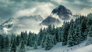 白雪覆蓋的山脈和松樹，天空多雲。 — 山景 壁紙